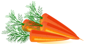 Carrot PNG image-4983